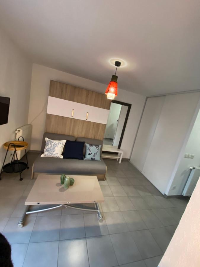 Studio Chic Little Boheme Proche Hopitaux, 15 Mn Du Centre Lyon Luaran gambar